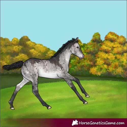 Horse Color:Platinum White Spotted Brown Dun Rabicano Brindle