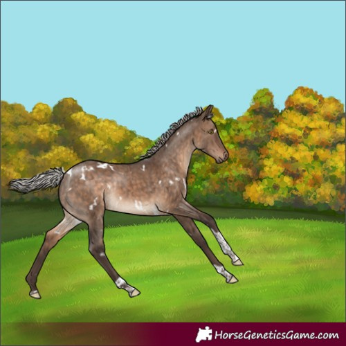 Horse Color:White Spotted Silver Brown Dun Tobiano Rabicano Brindle 