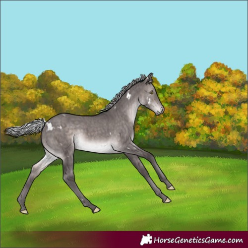 Horse Color:Platinum White Spotted Silver Brown Dun Rabicano Brindle