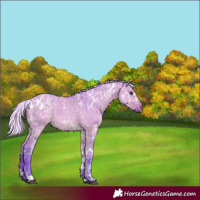 Horse Color:Watercolor White Spotted Silver Bay Ice Dun