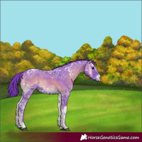 Horse Color:Watercolor Blue Onyx Ice 