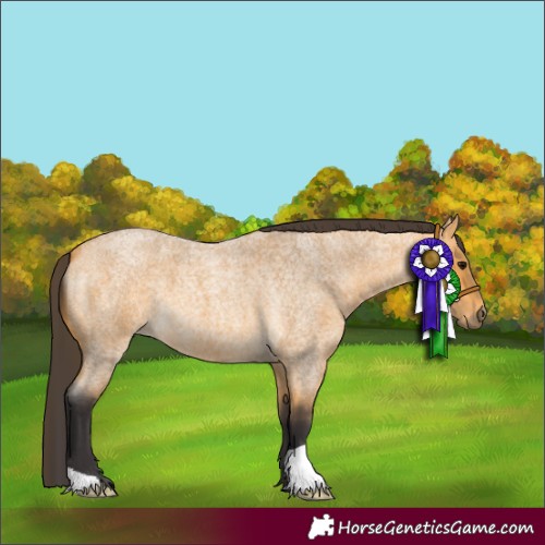Horse Color:Buckskin Roan 