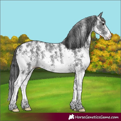Horse Color:Black Sabino Rabicano 