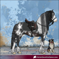Horse Color:White Spotted Brown Sabino