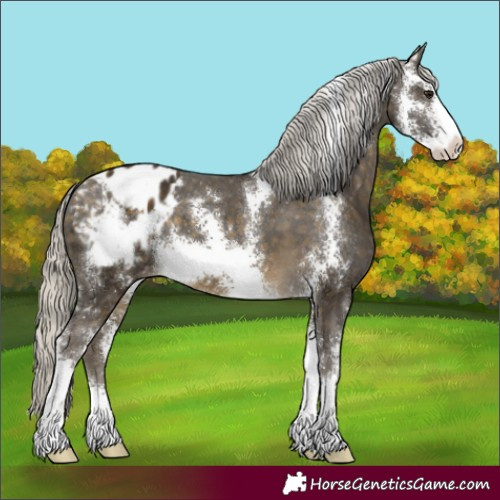 Horse Color:Silver Buckskin Sabino Varnish 