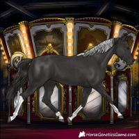 Horse Color:Smoky Black Tobiano 