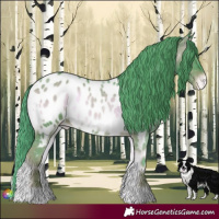 Horse Color:Watercolor Red Onyx Appaloosa