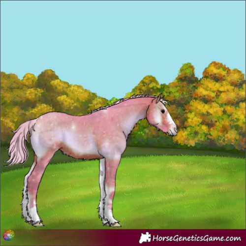 Horse Color:Watercolor Chocolate Silver Brown Onyx 