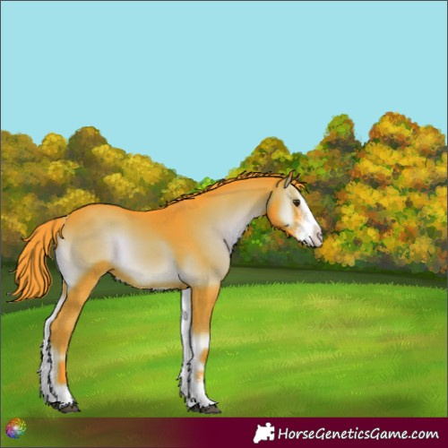 Horse Color:Watercolor Liver Red Onyx Sabino 