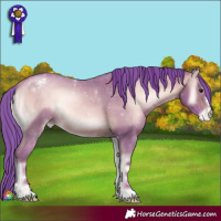 Horse Color:Watercolor Sable Champagne Onyx Appaloosa 