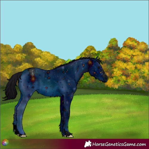 Horse Color:ERROR: UNKNOWN ANOMALY