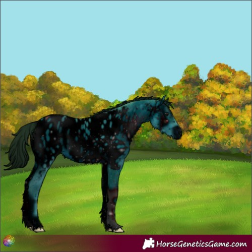 Horse Color:ERROR: UNKNOWN ANOMALY