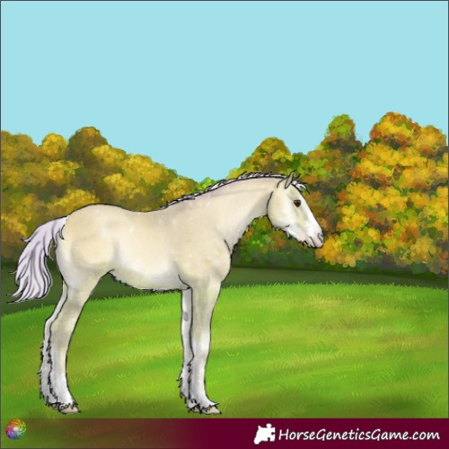 Horse Color:Watercolor Silver Sable Champagne Onyx Rabicano 