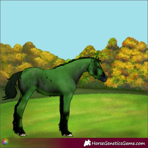 Horse Color:ERROR: UNKNOWN ANOMALY