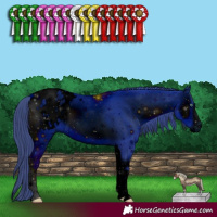 Horse Color:ERROR: UNKNOWN ANOMALY