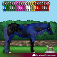 Horse Color:ERROR: UNKNOWN ANOMALY