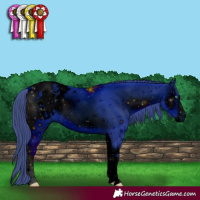Horse Color:ERROR: UNKNOWN ANOMALY