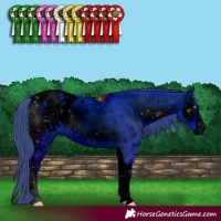 Horse Color:ERROR: UNKNOWN ANOMALY