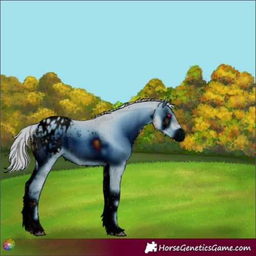 Horse Color:ERROR: UNKNOWN ANOMALY