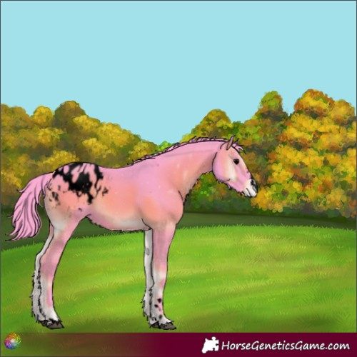 Horse Color:Void Watercolor Blue Onyx Blanket 