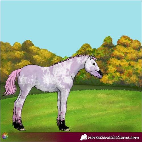 Horse Color:Void Watercolor Bay Ice Dun 