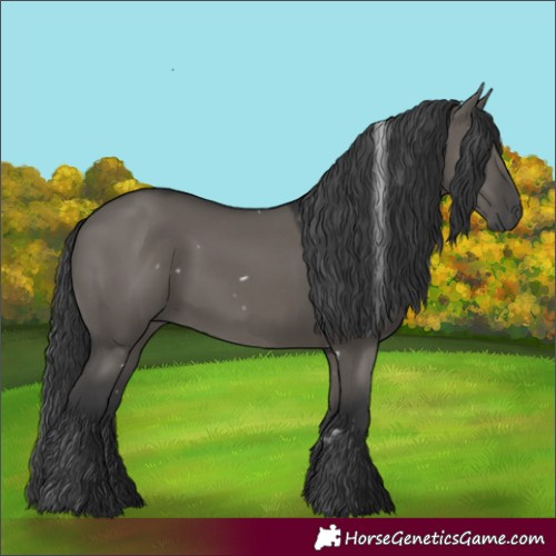 Horse Color:White Spotted Grullo Rabicano 