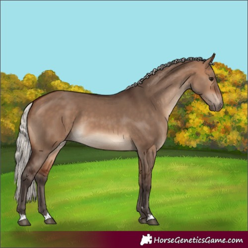 Horse Color:Silver Brown Dun 