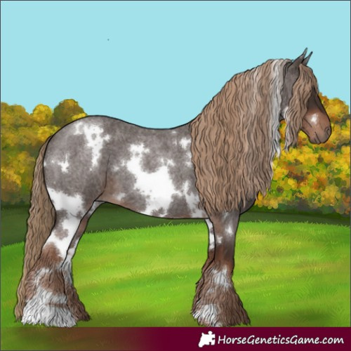 Horse Color:White Spotted Liver Red Roan 