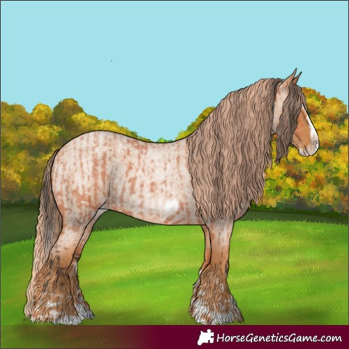 Horse Color:Bay Roan Splash Frame  and Red Roan Splash Frame 