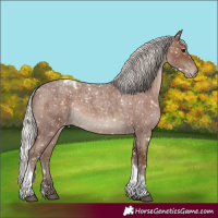 Horse Color:Silver Blue Roan Tobiano Snowflake Varnish Rabicano