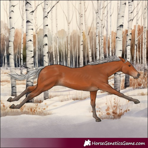 Horse Color:Silver Bay 