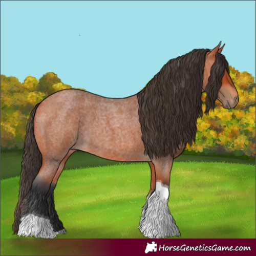 Horse Color:Bay Roan Tobiano 