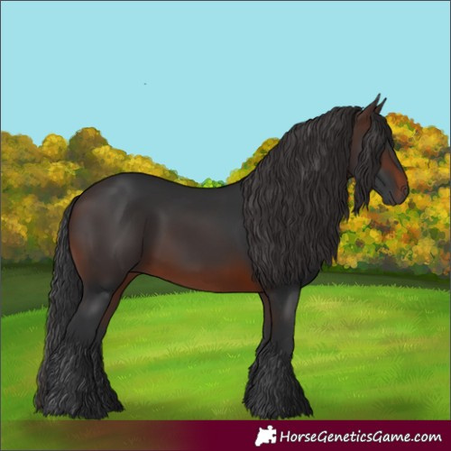 Horse Color:Brown 