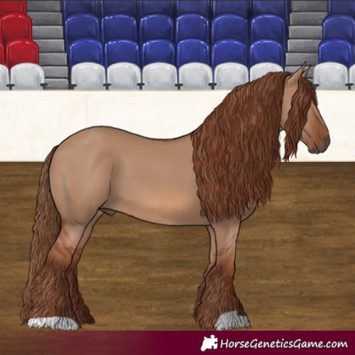 Horse Color:Red Dun 