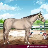 Horse Color:Amber Champagne Dun 