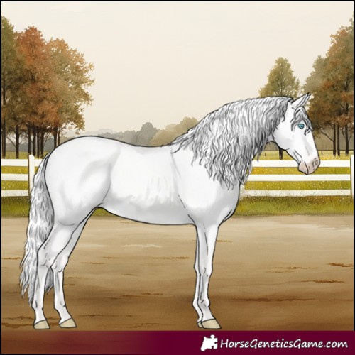 Horse Color:Silver Perlino Dun 