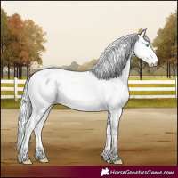 Horse Color:Silver Perlino Dun 