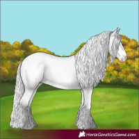 Horse Color:Cremello Dun 