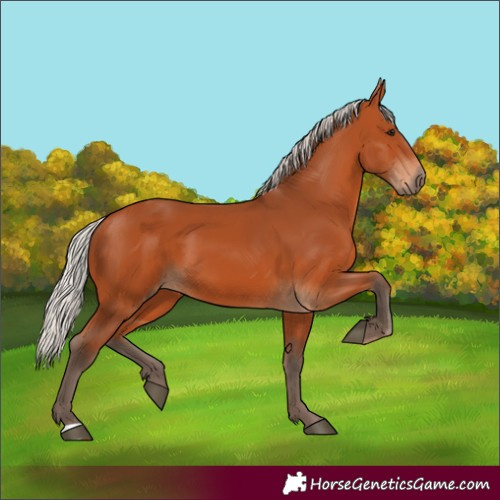 Horse Color:Silver Bay