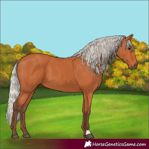 Horse Color:Silver Bay