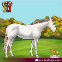 Horse Color:Sable Cream Champagne Pearl Sabino Tobiano Appaloosa