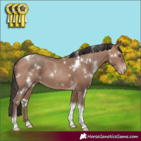 Horse Color:White Spotted Sable Champagne Tobiano Rabicano
