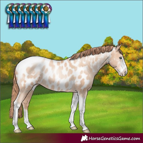 Horse Color:Sable Champagne Pearl Sabino Tobiano Near Leopard Rabicano 