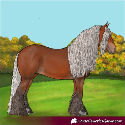 Horse Color:Silver Bay 