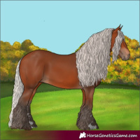 Horse Color:Silver Bay 