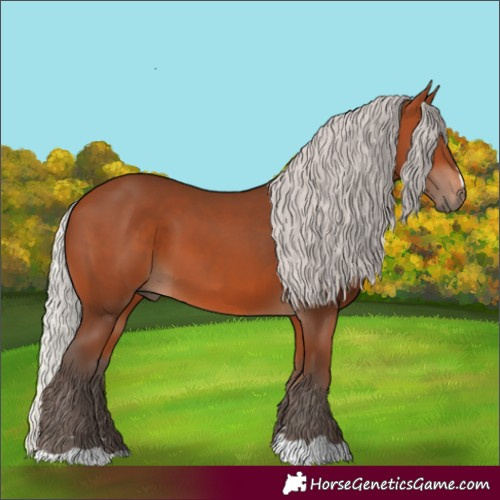 Horse Color:Silver Bay 