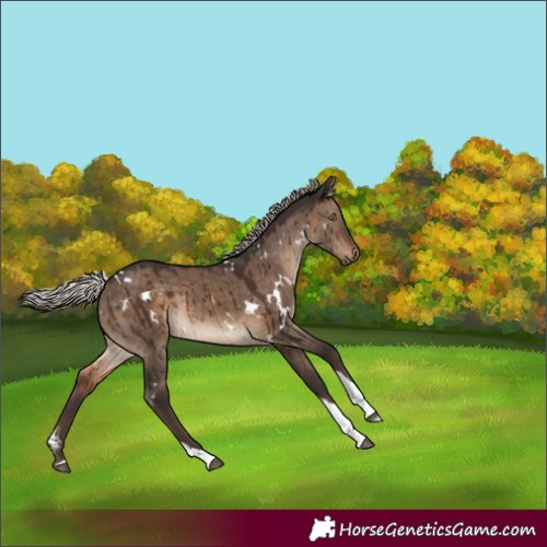 Horse Color:White Spotted Silver Brown Dun Tobiano Rabicano Brindle 