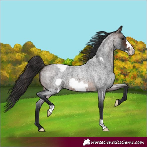 Horse Color:Brown Roan Frame Blanket 