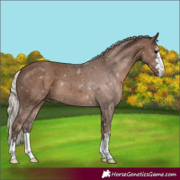 Horse Color:Silver Black 