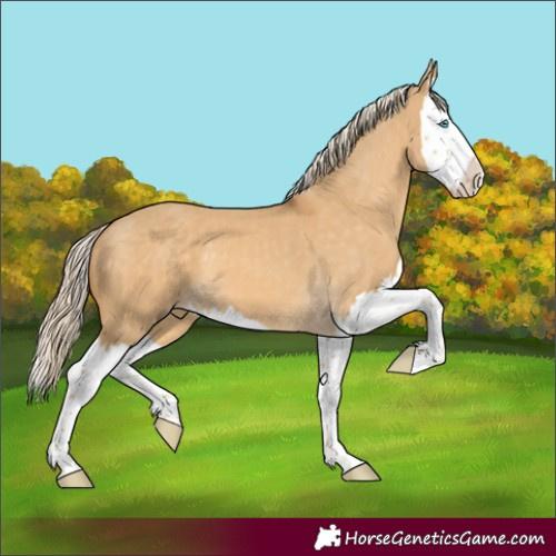 Horse Color:Palomino Dun Splash 